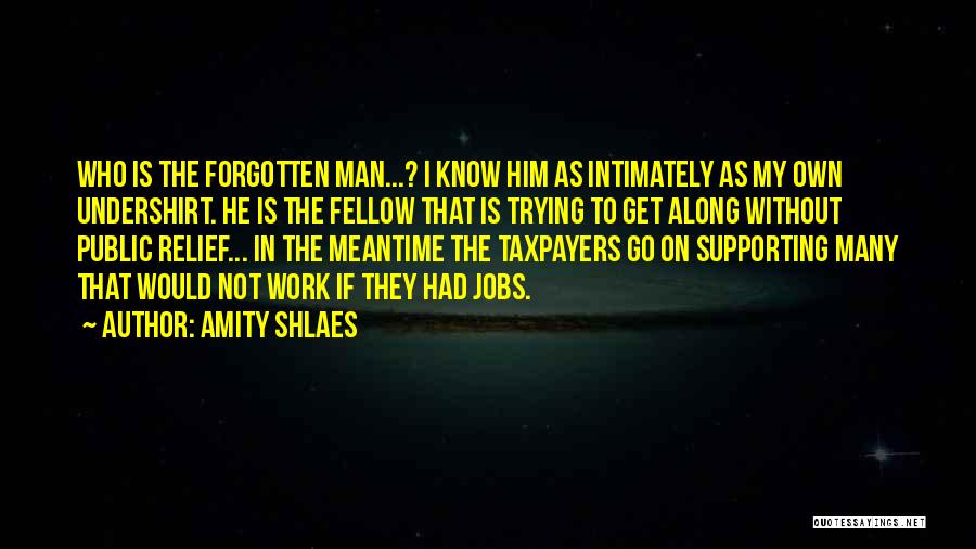 Amity Shlaes Quotes: Who Is The Forgotten Man...? I Know Him As Intimately As My Own Undershirt. He Is The Fellow That Is