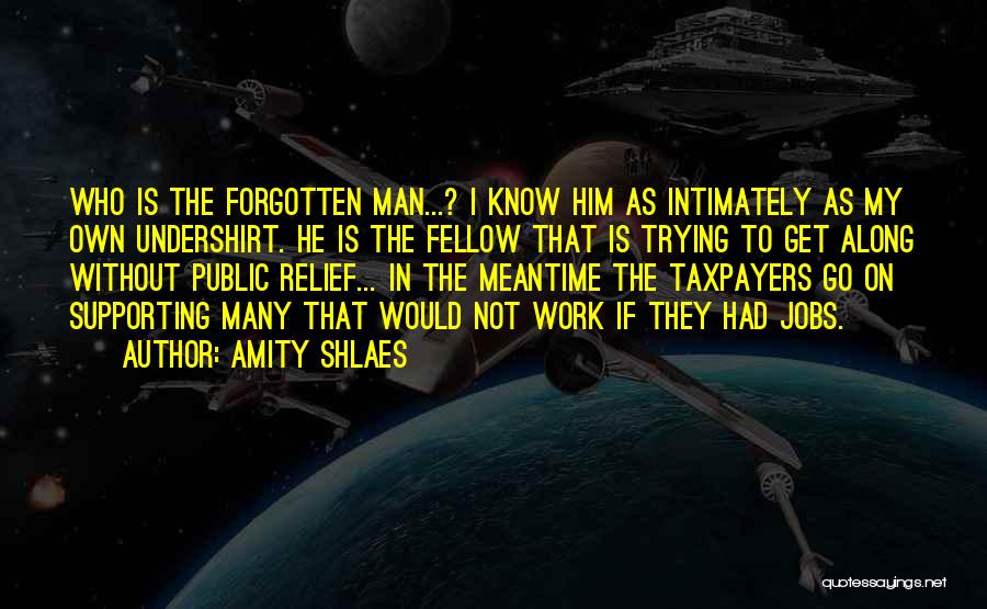 Amity Shlaes Quotes: Who Is The Forgotten Man...? I Know Him As Intimately As My Own Undershirt. He Is The Fellow That Is