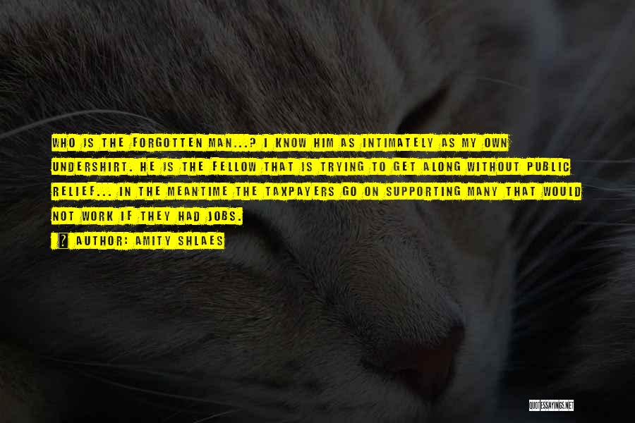 Amity Shlaes Quotes: Who Is The Forgotten Man...? I Know Him As Intimately As My Own Undershirt. He Is The Fellow That Is
