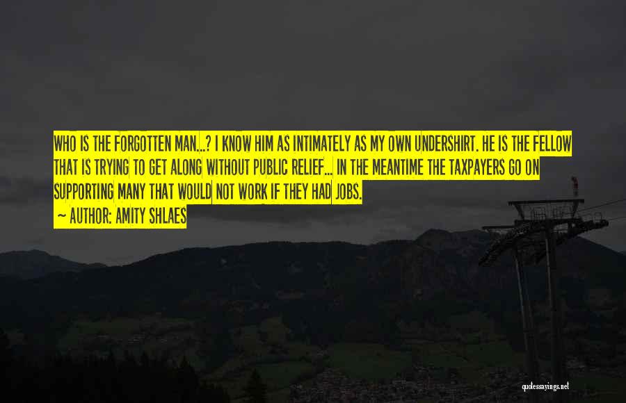 Amity Shlaes Quotes: Who Is The Forgotten Man...? I Know Him As Intimately As My Own Undershirt. He Is The Fellow That Is