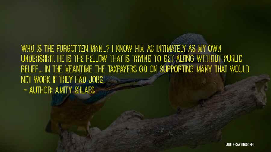 Amity Shlaes Quotes: Who Is The Forgotten Man...? I Know Him As Intimately As My Own Undershirt. He Is The Fellow That Is