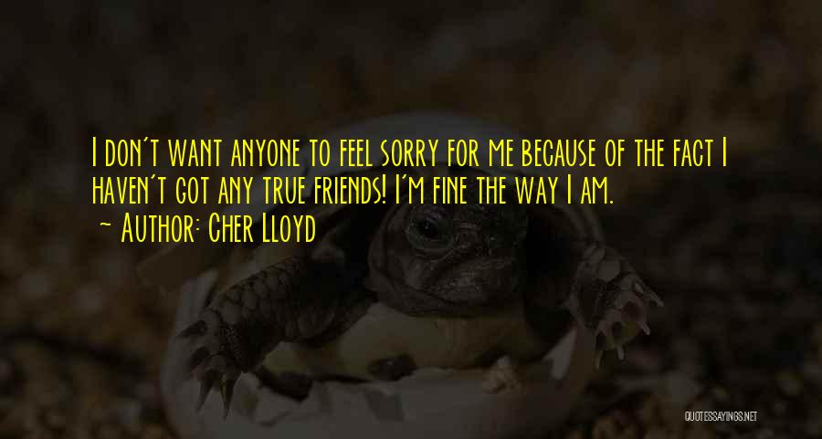 Cher Lloyd Quotes: I Don't Want Anyone To Feel Sorry For Me Because Of The Fact I Haven't Got Any True Friends! I'm