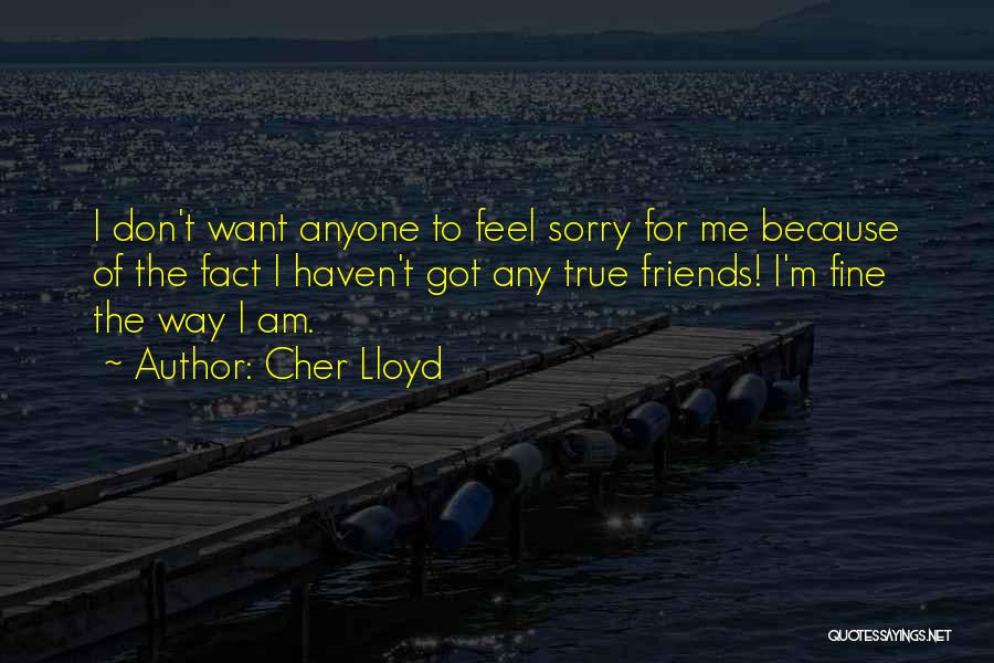 Cher Lloyd Quotes: I Don't Want Anyone To Feel Sorry For Me Because Of The Fact I Haven't Got Any True Friends! I'm