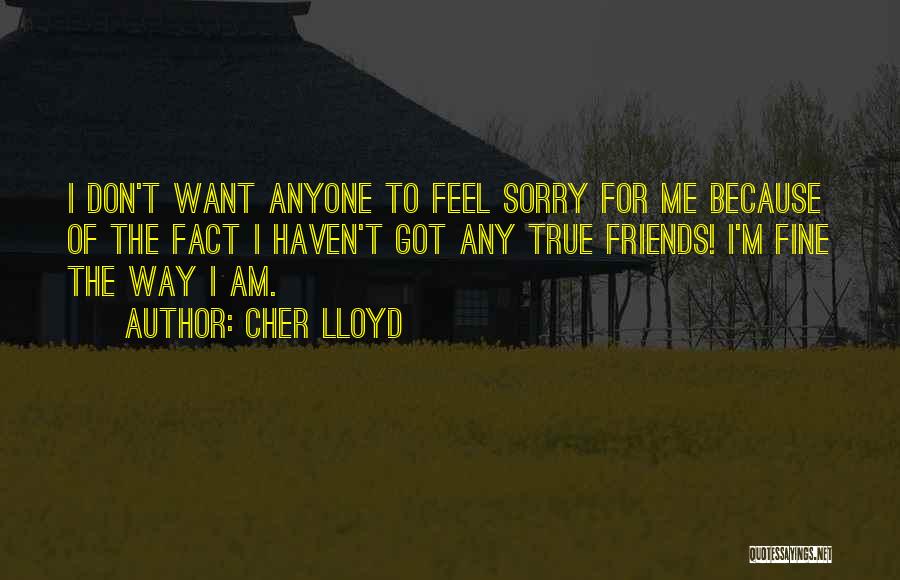 Cher Lloyd Quotes: I Don't Want Anyone To Feel Sorry For Me Because Of The Fact I Haven't Got Any True Friends! I'm