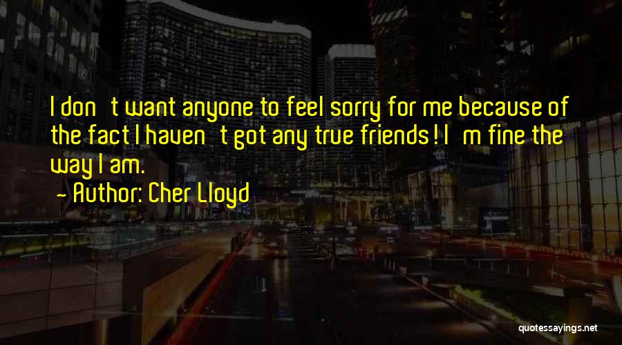 Cher Lloyd Quotes: I Don't Want Anyone To Feel Sorry For Me Because Of The Fact I Haven't Got Any True Friends! I'm