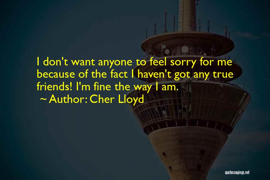 Cher Lloyd Quotes: I Don't Want Anyone To Feel Sorry For Me Because Of The Fact I Haven't Got Any True Friends! I'm