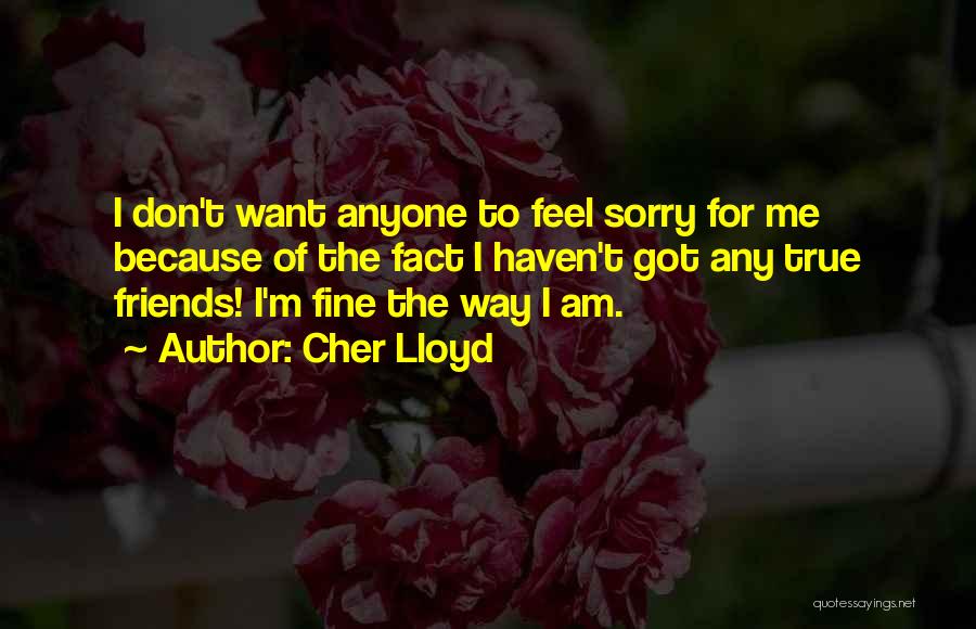 Cher Lloyd Quotes: I Don't Want Anyone To Feel Sorry For Me Because Of The Fact I Haven't Got Any True Friends! I'm