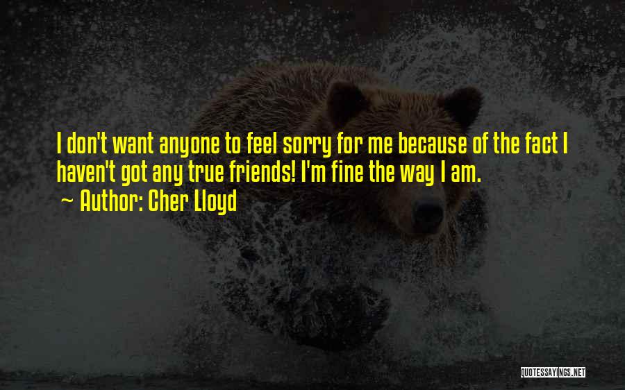 Cher Lloyd Quotes: I Don't Want Anyone To Feel Sorry For Me Because Of The Fact I Haven't Got Any True Friends! I'm