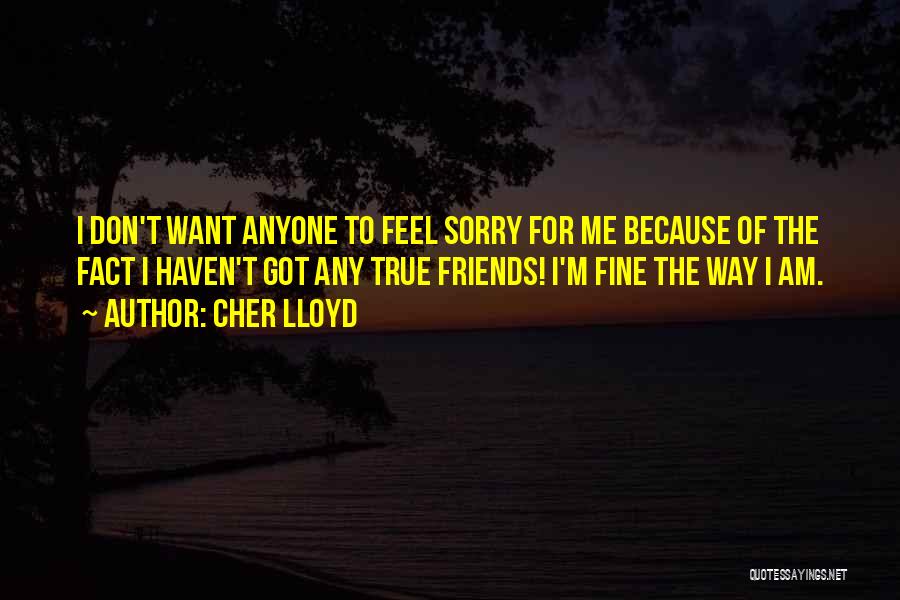 Cher Lloyd Quotes: I Don't Want Anyone To Feel Sorry For Me Because Of The Fact I Haven't Got Any True Friends! I'm