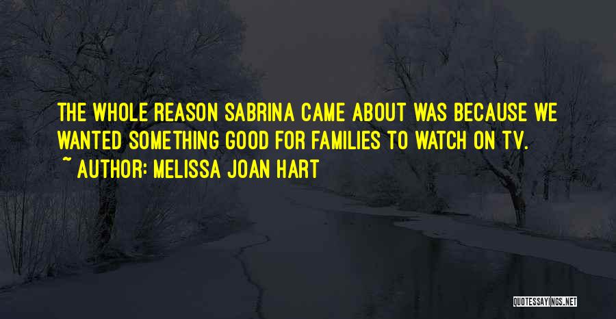 Melissa Joan Hart Quotes: The Whole Reason Sabrina Came About Was Because We Wanted Something Good For Families To Watch On Tv.