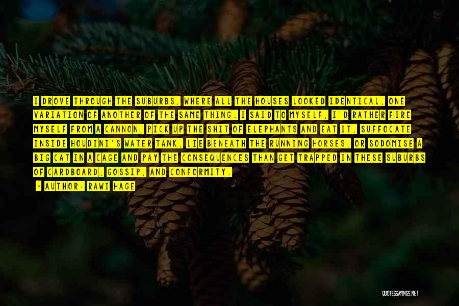 Rawi Hage Quotes: I Drove Through The Suburbs, Where All The Houses Looked Identical, One Variation Of Another Of The Same Thing. I