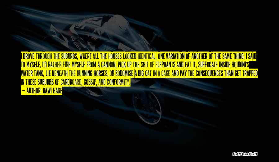 Rawi Hage Quotes: I Drove Through The Suburbs, Where All The Houses Looked Identical, One Variation Of Another Of The Same Thing. I