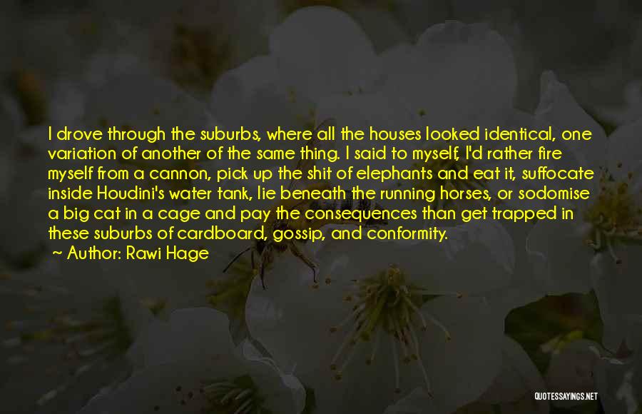 Rawi Hage Quotes: I Drove Through The Suburbs, Where All The Houses Looked Identical, One Variation Of Another Of The Same Thing. I