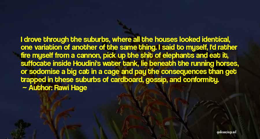 Rawi Hage Quotes: I Drove Through The Suburbs, Where All The Houses Looked Identical, One Variation Of Another Of The Same Thing. I