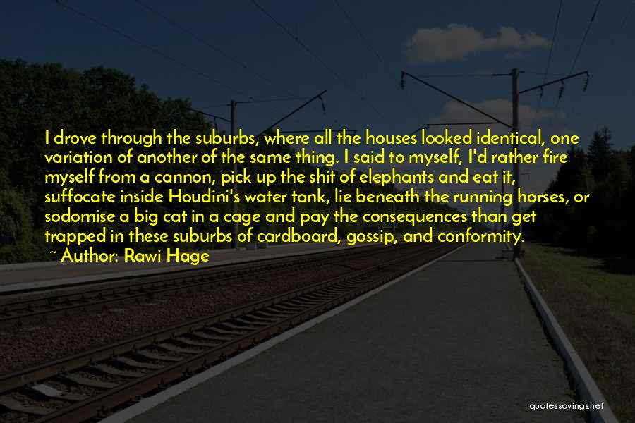 Rawi Hage Quotes: I Drove Through The Suburbs, Where All The Houses Looked Identical, One Variation Of Another Of The Same Thing. I