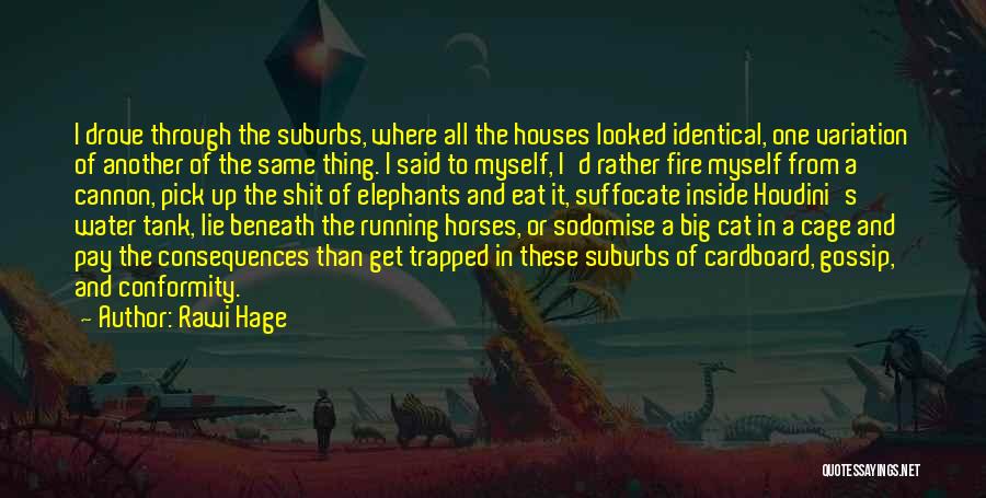 Rawi Hage Quotes: I Drove Through The Suburbs, Where All The Houses Looked Identical, One Variation Of Another Of The Same Thing. I