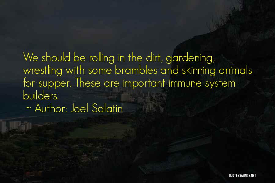 Joel Salatin Quotes: We Should Be Rolling In The Dirt, Gardening, Wrestling With Some Brambles And Skinning Animals For Supper. These Are Important
