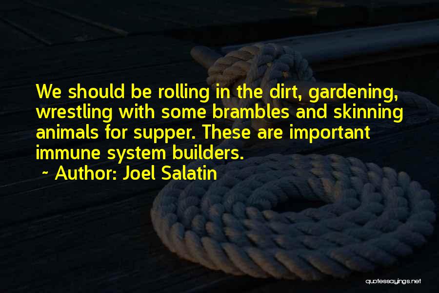 Joel Salatin Quotes: We Should Be Rolling In The Dirt, Gardening, Wrestling With Some Brambles And Skinning Animals For Supper. These Are Important