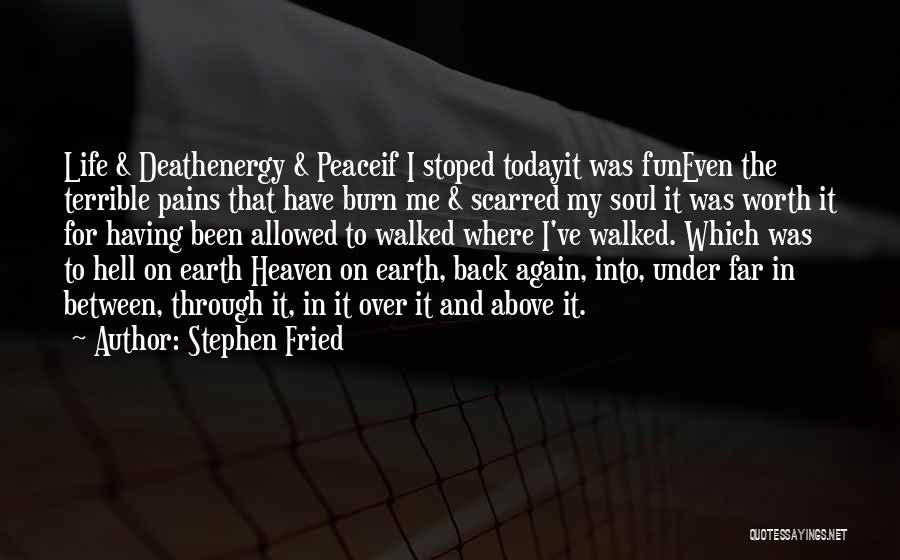 Stephen Fried Quotes: Life & Deathenergy & Peaceif I Stoped Todayit Was Funeven The Terrible Pains That Have Burn Me & Scarred My