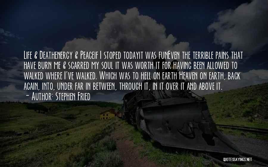 Stephen Fried Quotes: Life & Deathenergy & Peaceif I Stoped Todayit Was Funeven The Terrible Pains That Have Burn Me & Scarred My