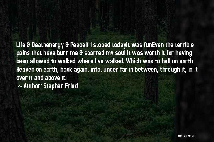 Stephen Fried Quotes: Life & Deathenergy & Peaceif I Stoped Todayit Was Funeven The Terrible Pains That Have Burn Me & Scarred My