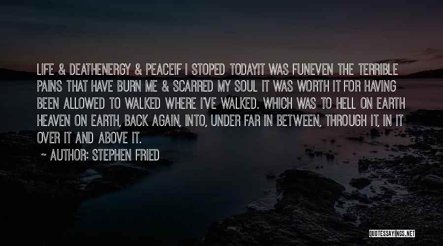 Stephen Fried Quotes: Life & Deathenergy & Peaceif I Stoped Todayit Was Funeven The Terrible Pains That Have Burn Me & Scarred My