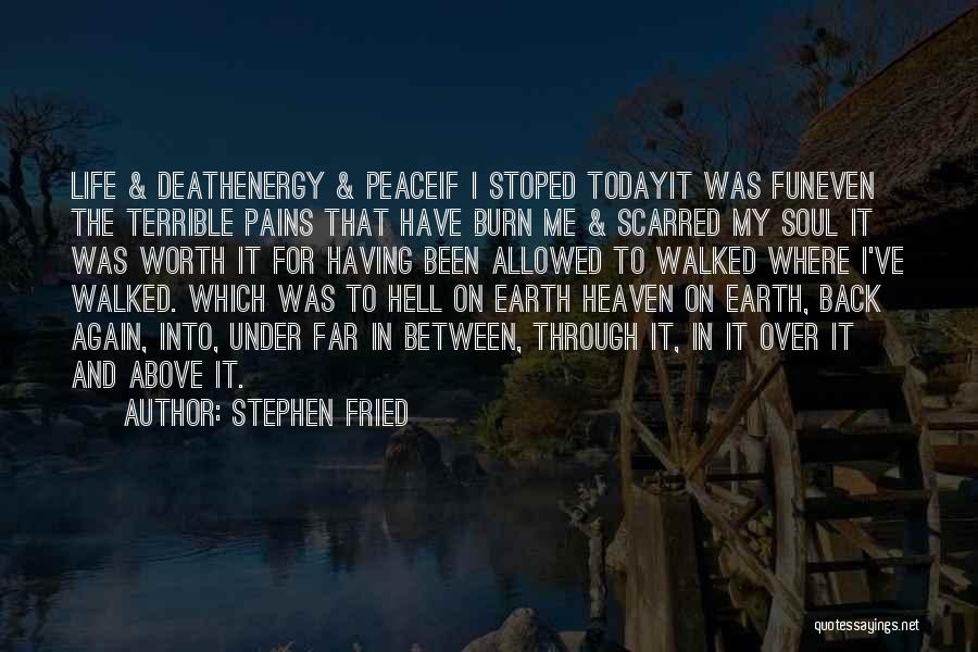 Stephen Fried Quotes: Life & Deathenergy & Peaceif I Stoped Todayit Was Funeven The Terrible Pains That Have Burn Me & Scarred My