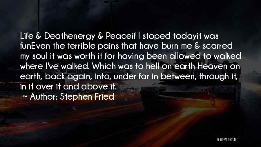 Stephen Fried Quotes: Life & Deathenergy & Peaceif I Stoped Todayit Was Funeven The Terrible Pains That Have Burn Me & Scarred My