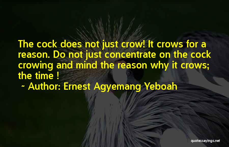 Ernest Agyemang Yeboah Quotes: The Cock Does Not Just Crow! It Crows For A Reason. Do Not Just Concentrate On The Cock Crowing And