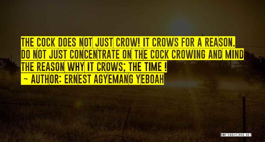 Ernest Agyemang Yeboah Quotes: The Cock Does Not Just Crow! It Crows For A Reason. Do Not Just Concentrate On The Cock Crowing And