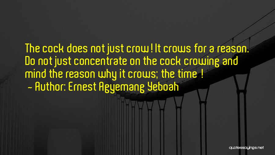 Ernest Agyemang Yeboah Quotes: The Cock Does Not Just Crow! It Crows For A Reason. Do Not Just Concentrate On The Cock Crowing And