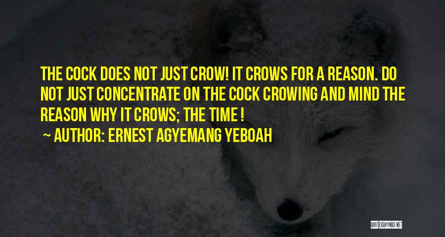 Ernest Agyemang Yeboah Quotes: The Cock Does Not Just Crow! It Crows For A Reason. Do Not Just Concentrate On The Cock Crowing And