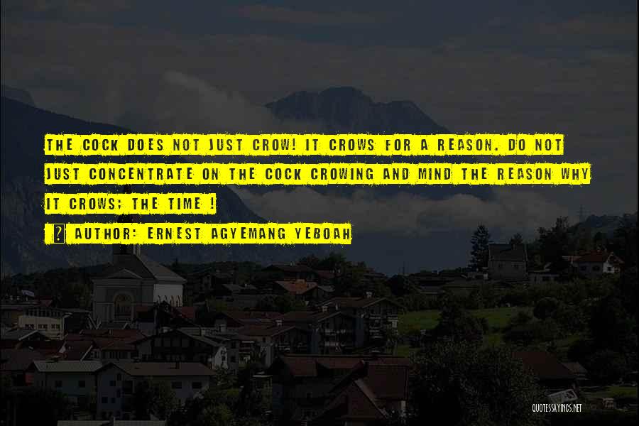 Ernest Agyemang Yeboah Quotes: The Cock Does Not Just Crow! It Crows For A Reason. Do Not Just Concentrate On The Cock Crowing And