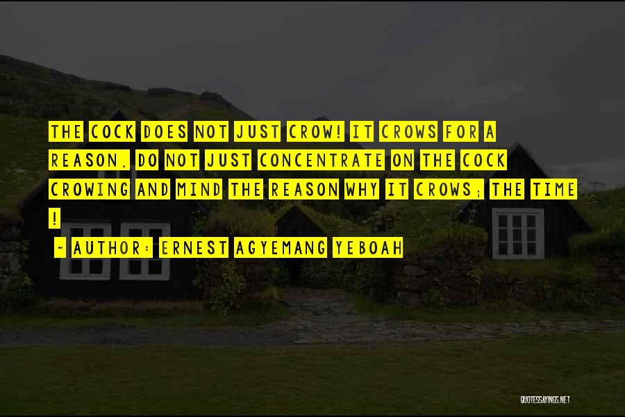 Ernest Agyemang Yeboah Quotes: The Cock Does Not Just Crow! It Crows For A Reason. Do Not Just Concentrate On The Cock Crowing And