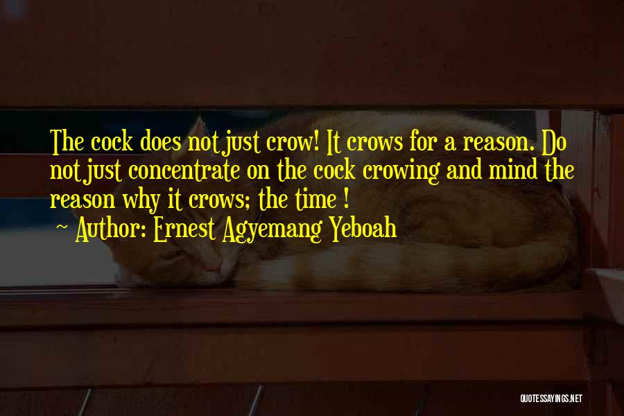 Ernest Agyemang Yeboah Quotes: The Cock Does Not Just Crow! It Crows For A Reason. Do Not Just Concentrate On The Cock Crowing And