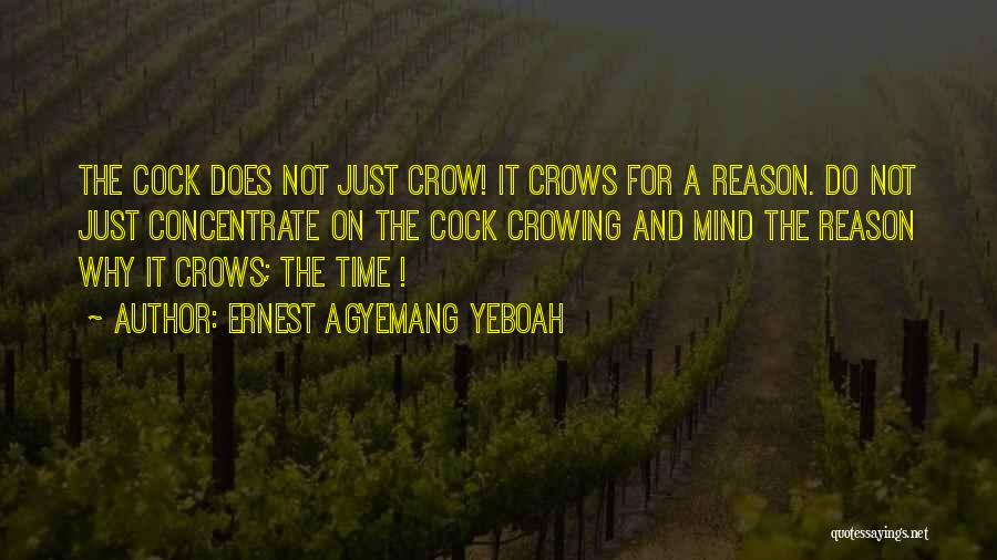 Ernest Agyemang Yeboah Quotes: The Cock Does Not Just Crow! It Crows For A Reason. Do Not Just Concentrate On The Cock Crowing And