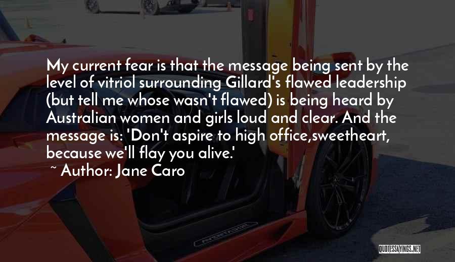 Jane Caro Quotes: My Current Fear Is That The Message Being Sent By The Level Of Vitriol Surrounding Gillard's Flawed Leadership (but Tell