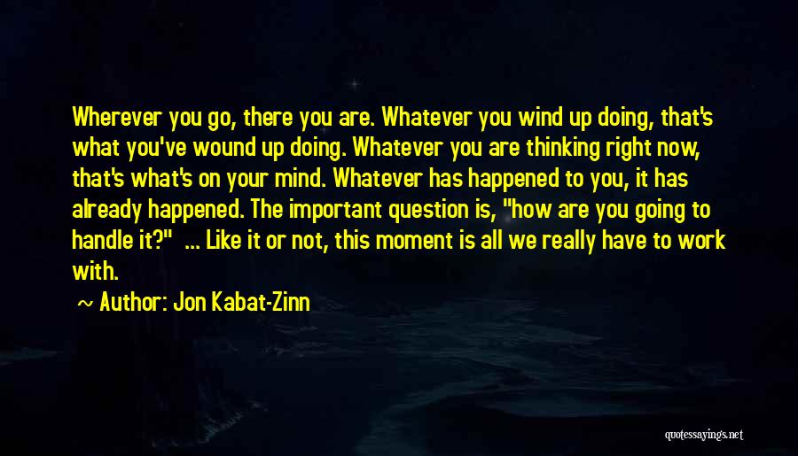 Jon Kabat-Zinn Quotes: Wherever You Go, There You Are. Whatever You Wind Up Doing, That's What You've Wound Up Doing. Whatever You Are