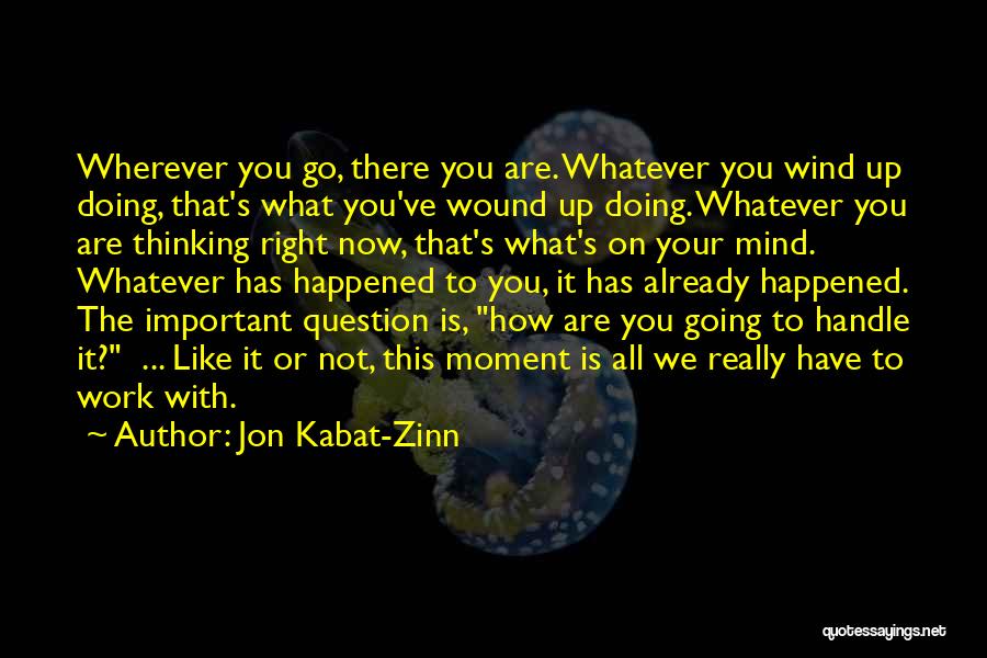 Jon Kabat-Zinn Quotes: Wherever You Go, There You Are. Whatever You Wind Up Doing, That's What You've Wound Up Doing. Whatever You Are