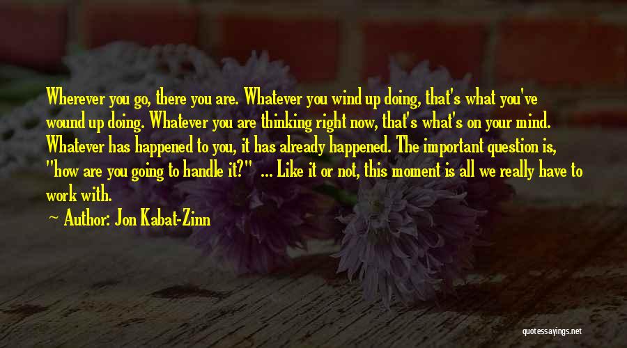 Jon Kabat-Zinn Quotes: Wherever You Go, There You Are. Whatever You Wind Up Doing, That's What You've Wound Up Doing. Whatever You Are