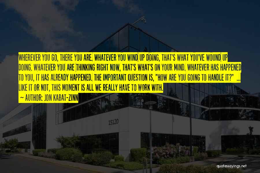 Jon Kabat-Zinn Quotes: Wherever You Go, There You Are. Whatever You Wind Up Doing, That's What You've Wound Up Doing. Whatever You Are