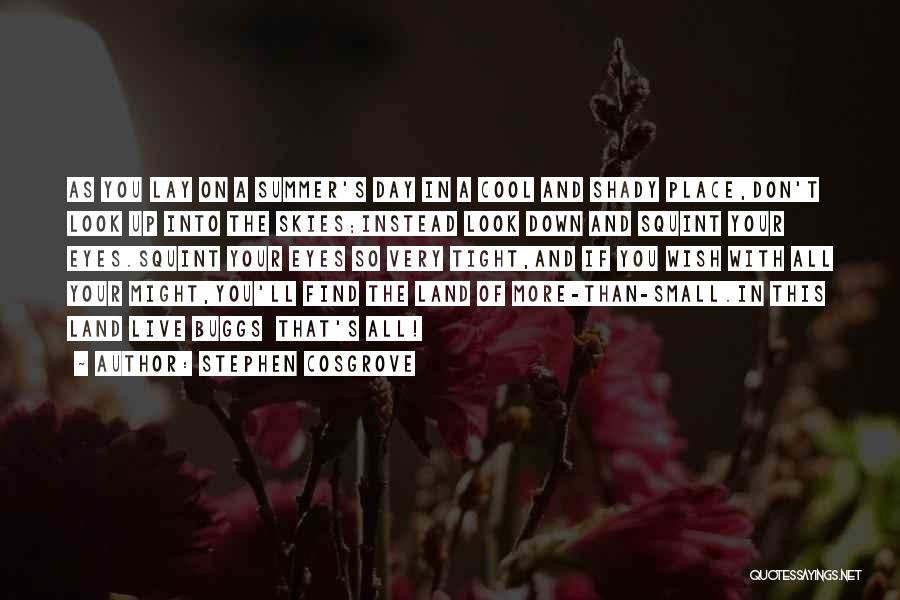 Stephen Cosgrove Quotes: As You Lay On A Summer's Day In A Cool And Shady Place,don't Look Up Into The Skies;instead Look Down