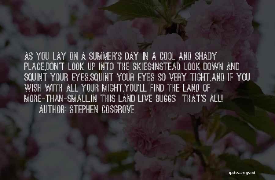 Stephen Cosgrove Quotes: As You Lay On A Summer's Day In A Cool And Shady Place,don't Look Up Into The Skies;instead Look Down