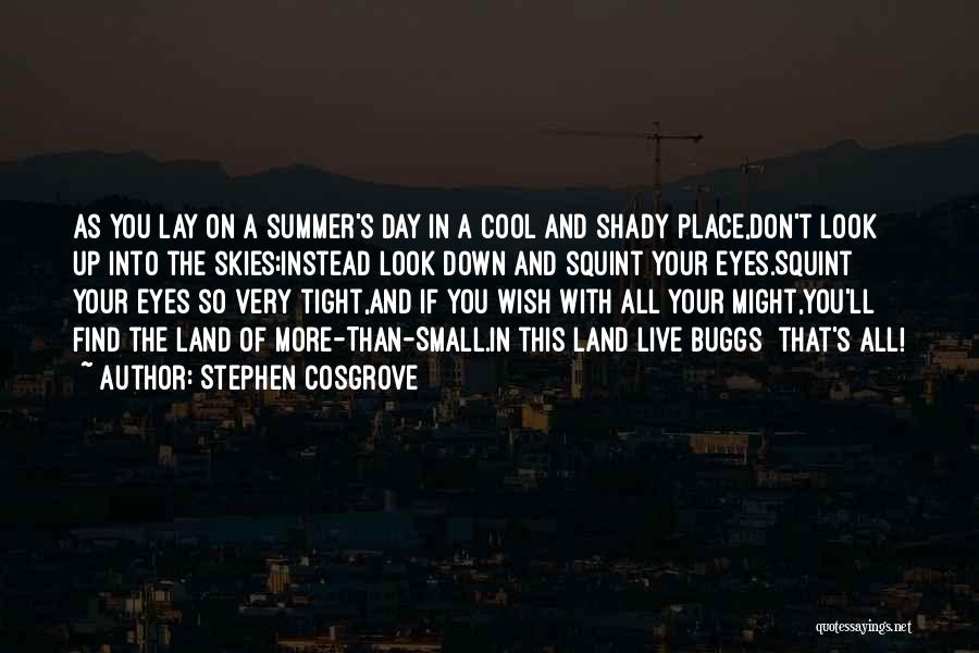 Stephen Cosgrove Quotes: As You Lay On A Summer's Day In A Cool And Shady Place,don't Look Up Into The Skies;instead Look Down