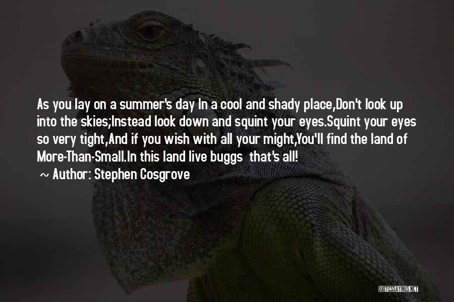 Stephen Cosgrove Quotes: As You Lay On A Summer's Day In A Cool And Shady Place,don't Look Up Into The Skies;instead Look Down