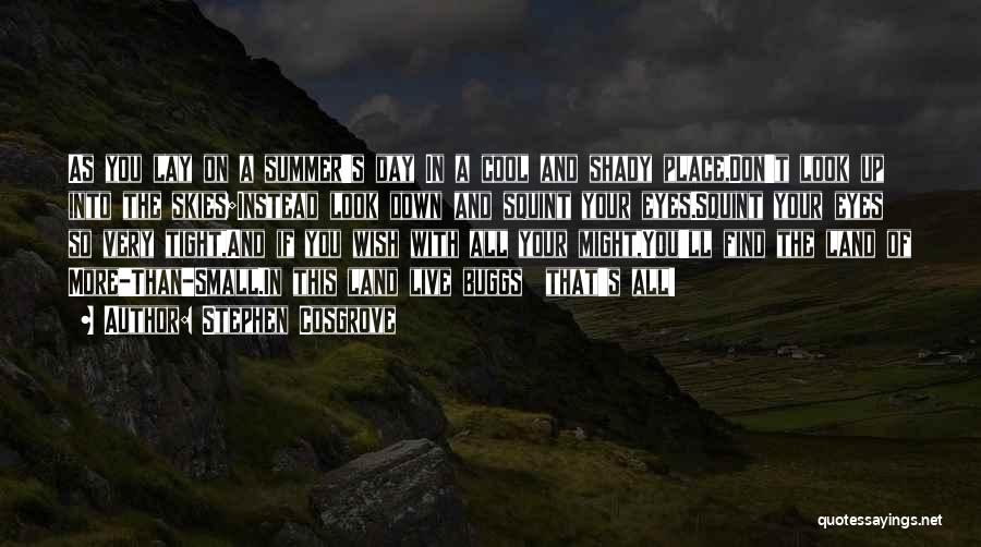 Stephen Cosgrove Quotes: As You Lay On A Summer's Day In A Cool And Shady Place,don't Look Up Into The Skies;instead Look Down