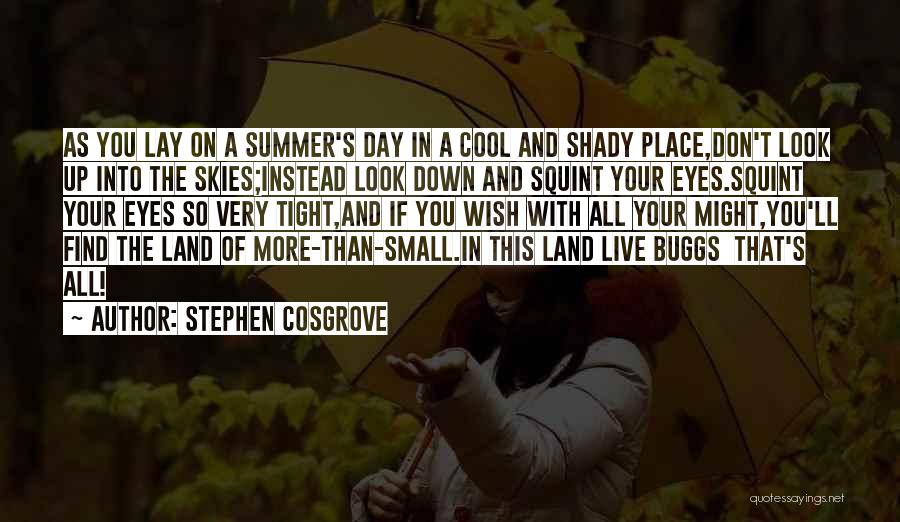 Stephen Cosgrove Quotes: As You Lay On A Summer's Day In A Cool And Shady Place,don't Look Up Into The Skies;instead Look Down