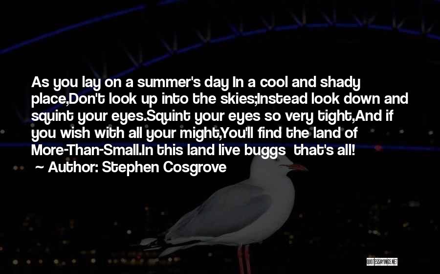 Stephen Cosgrove Quotes: As You Lay On A Summer's Day In A Cool And Shady Place,don't Look Up Into The Skies;instead Look Down