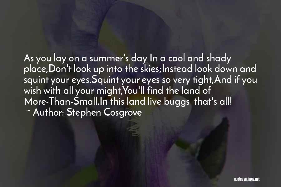 Stephen Cosgrove Quotes: As You Lay On A Summer's Day In A Cool And Shady Place,don't Look Up Into The Skies;instead Look Down