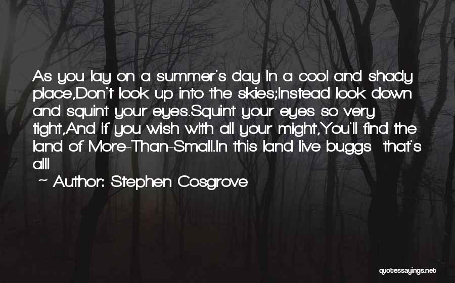 Stephen Cosgrove Quotes: As You Lay On A Summer's Day In A Cool And Shady Place,don't Look Up Into The Skies;instead Look Down